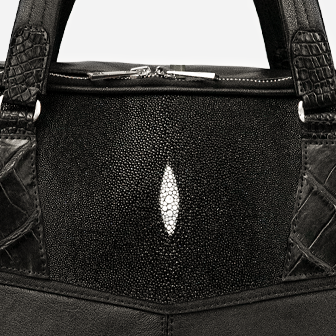 Portafolio DaFlynn V2 - Dark Stingray
