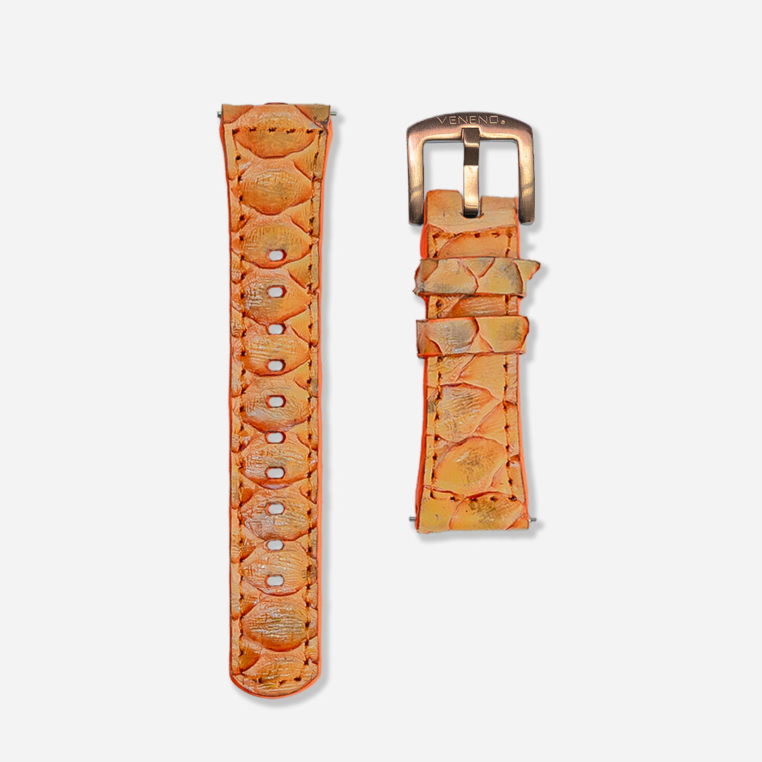 "Extensible 22mm” Python Tora Shine