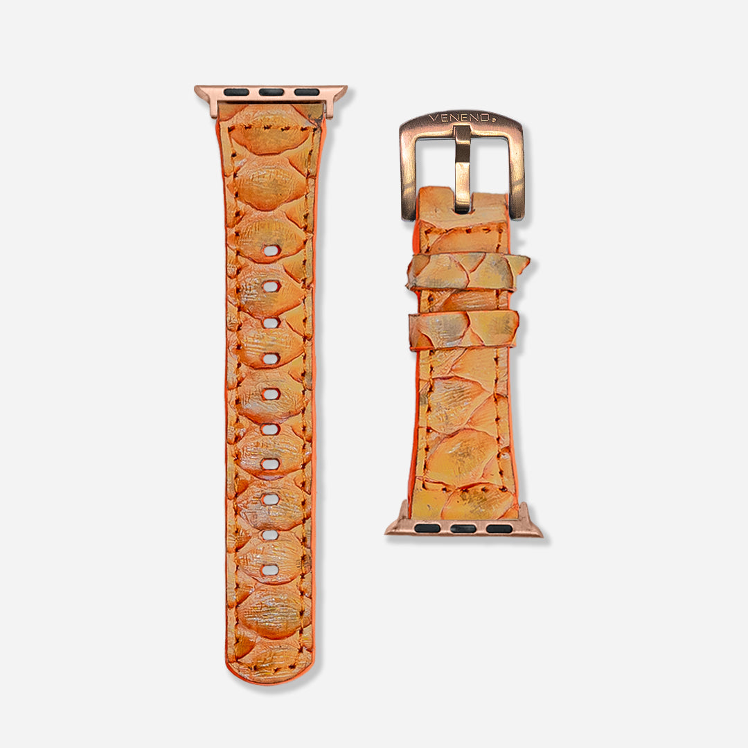 Extensible dama - Apple Watch Python Tora Shine